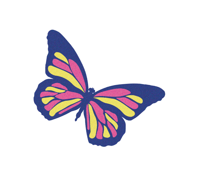 butterfly