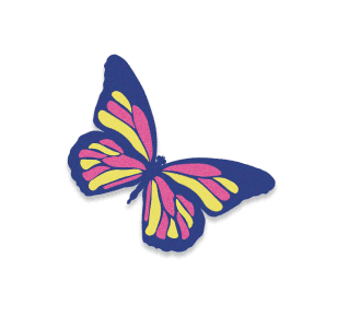 butterfly