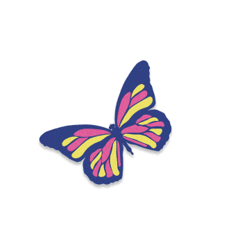 butterfly