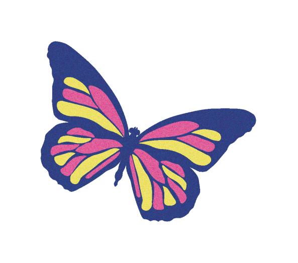butterfly